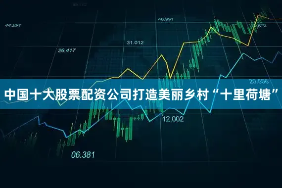 中国十大股票配资公司打造美丽乡村“十里荷塘”