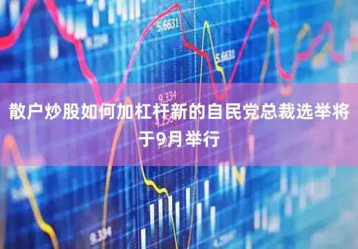散户炒股如何加杠杆新的自民党总裁选举将于9月举行